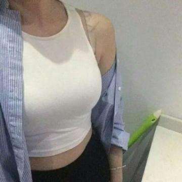 南方有乔木手游下载